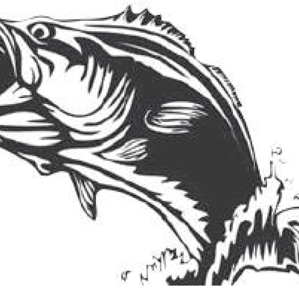 Ennis bass team finishes 13th at Lake Palestine