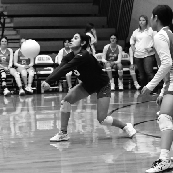 Five local VB teams in playoffs