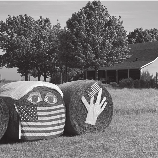 Three rolls in ze hay