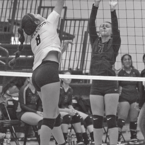 Big 5 VB teams enter closing run of matches