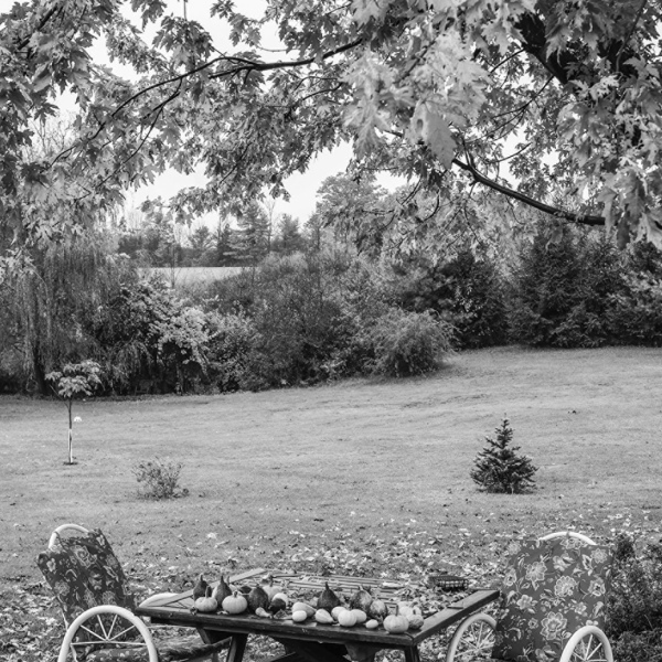 Ennis Garden Club announces 2023 Fall Yards of the Season