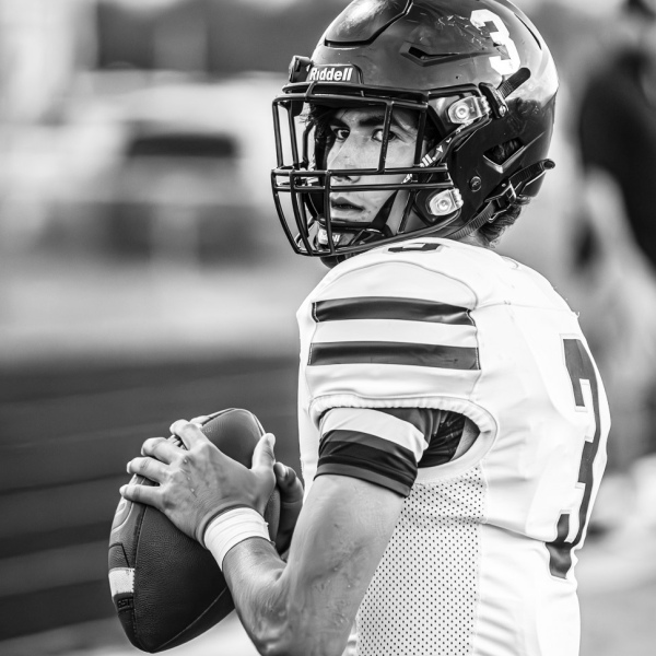Palmer shuts out BG Lions, 35-0