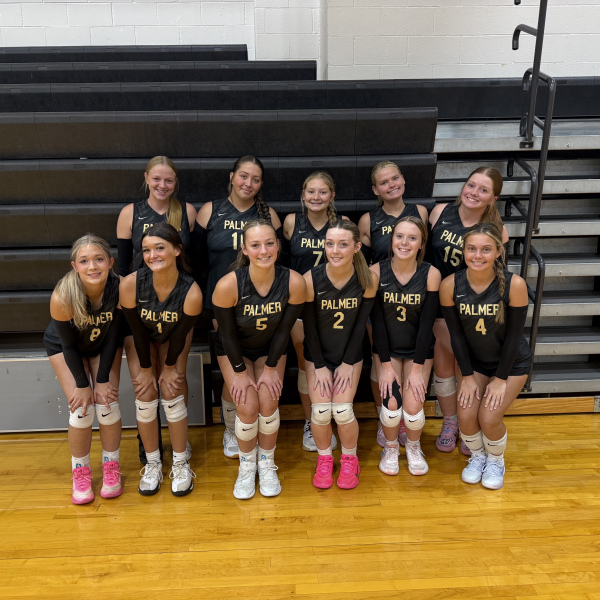Palmer VB Team Courtesy Photo/Palmer VB - Melanie Barnes