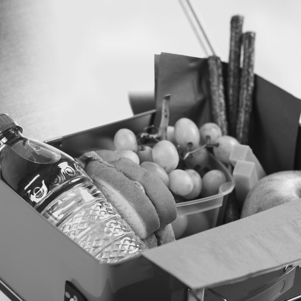 Prioritizing food safety in packed lunches for students: