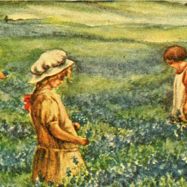 Early days in Ennis: Dateline 1881