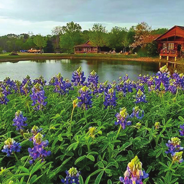 ‘Texas Highways’ spotlighted Ennis in 2019