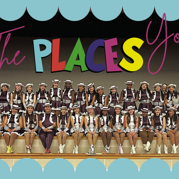 Lionettes excell in Spring Show
