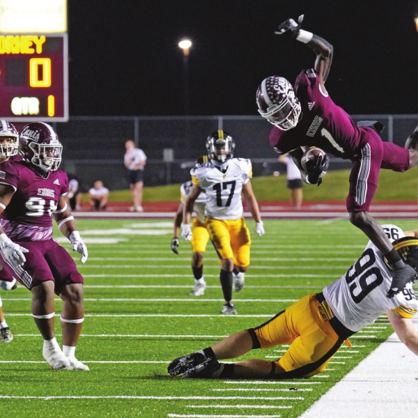 LIONS ROMP PAST RABBITS, 63-10