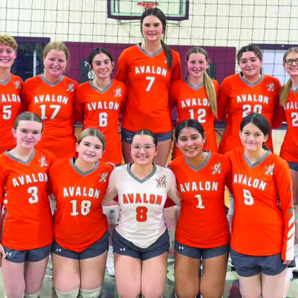 Area Volleyball All-District honors