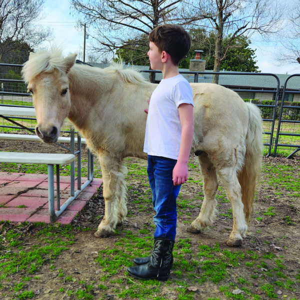 No Secrets between Horse and Man