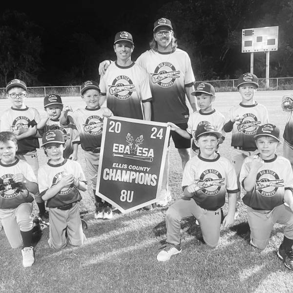 Area baseball, softball teams reach state