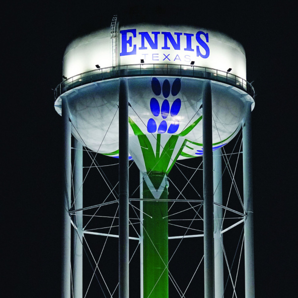 Towering bluebonnets in-season 24-7