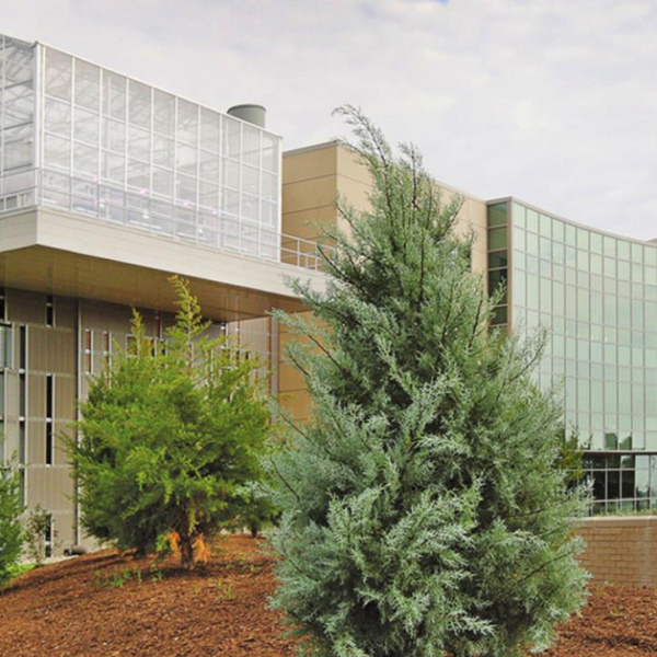 Scholarships available from Master Gardener College