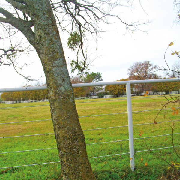 Spanish gold buried in Ennis 200 years ago?