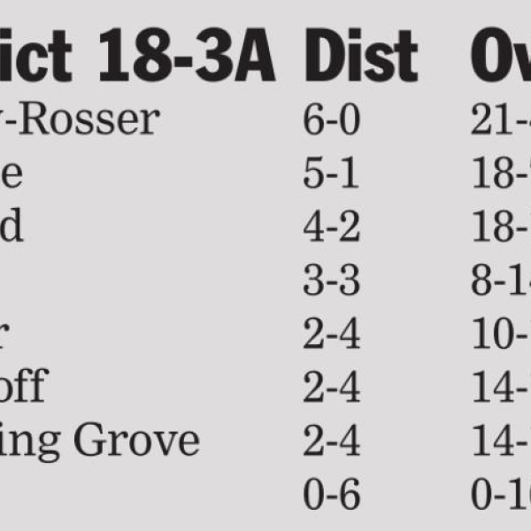 Palmer netters barking for playoffs