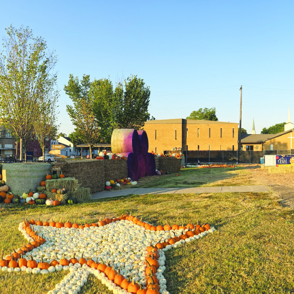 Hay Maze slides into fall season