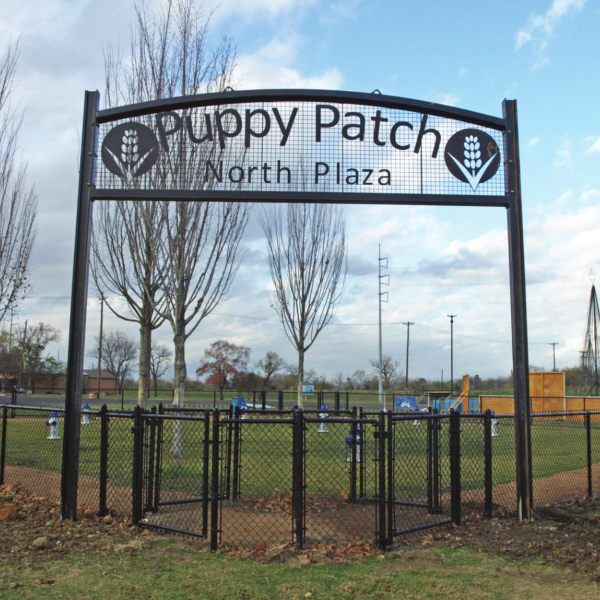 A place for tail-waggers