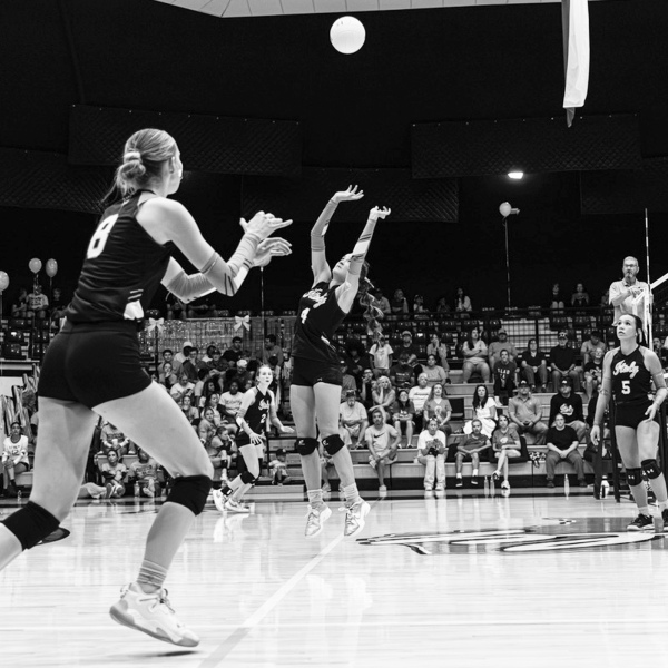 Tatum Box (4) sets Camdyn Owen (8). Courtesy Photo/Alma Muirhead