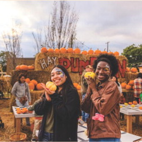 Invasion of Pumpkins