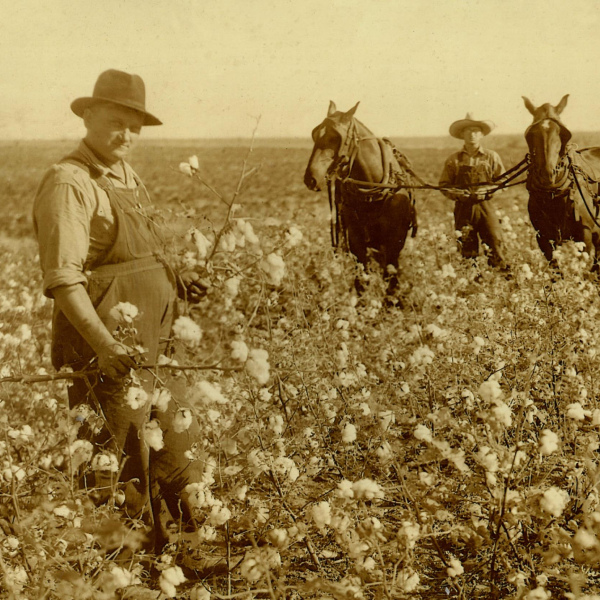 Old times in Ennis: 1880s-1910s