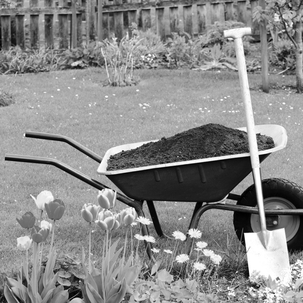 Ennis Garden Club announces Spring Yards of the Season