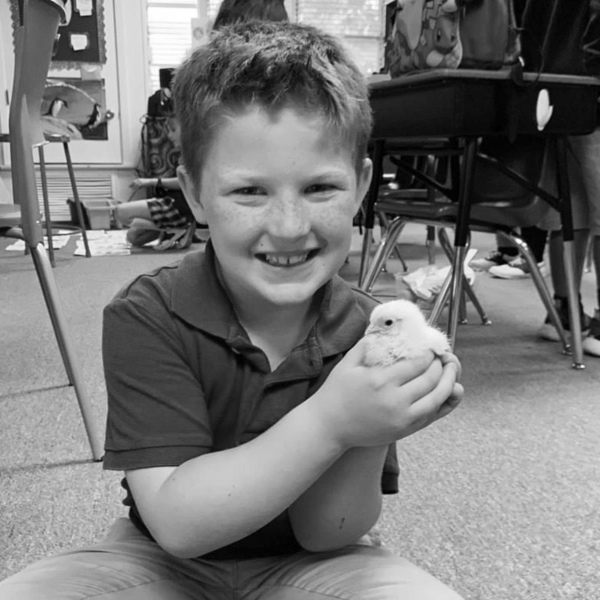 Happy hatching