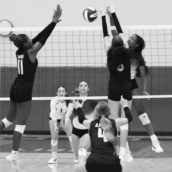 Lady Lions losing playoff grip