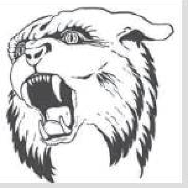 American Wampus Cats