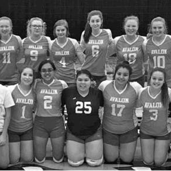 Big 5 VB playoffs, fun while it lasted