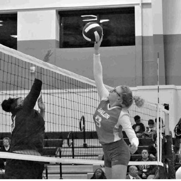 Avalon sweeps two teams, flying high