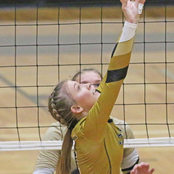 Big 5 Volleyball teams start on Aug. 2
