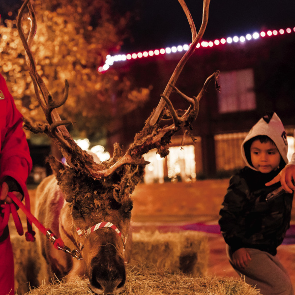 Lights of Ennis Parade, Nov. 30
