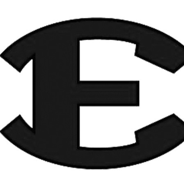 Guiding Lions At Ennis Schools