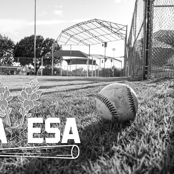 Baseball at Bluebonnet Park starts now