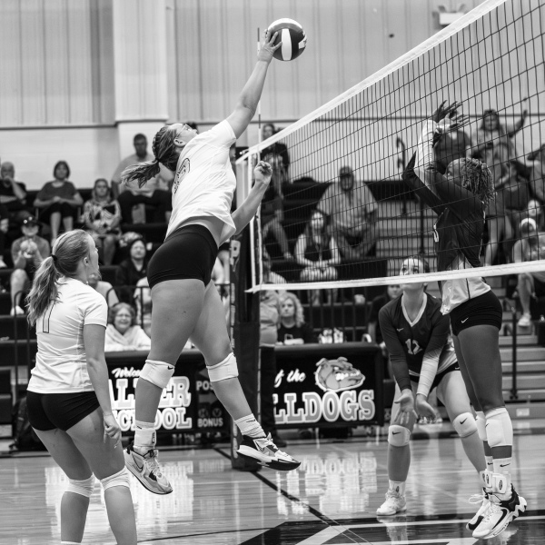 Palmer VB stuns ranked Keene