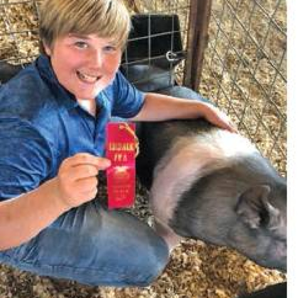 Sibley brothers win ribbons at Tyler swine show