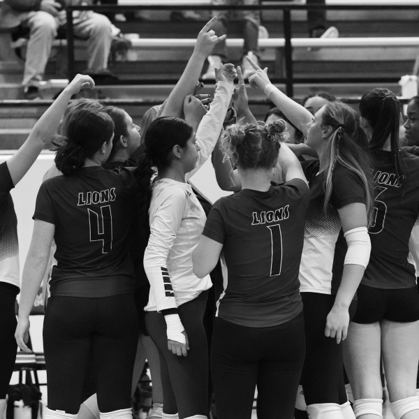 Lady Lions VB comes up short in playoffs