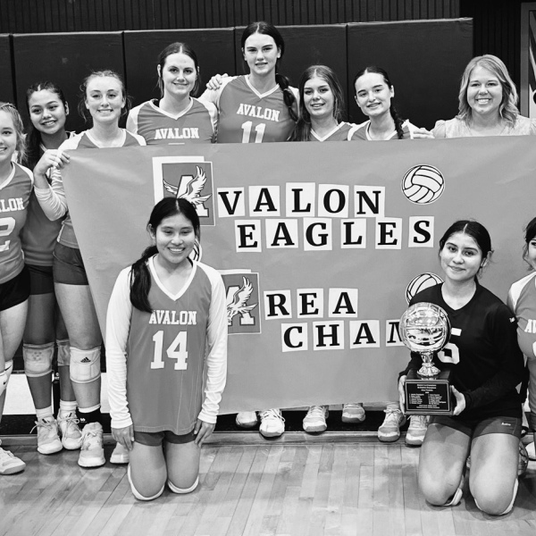 Avalon VB takes on No. 1 Blum