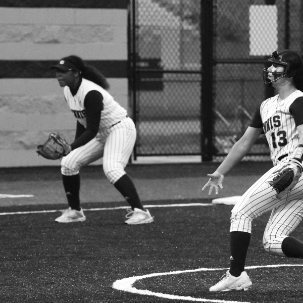 Lady Lions comeback ends in 19-13 setback
