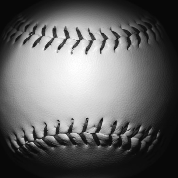 Softball Bi-District Playoffs