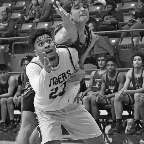 Lions feast on Tigers, 74-37