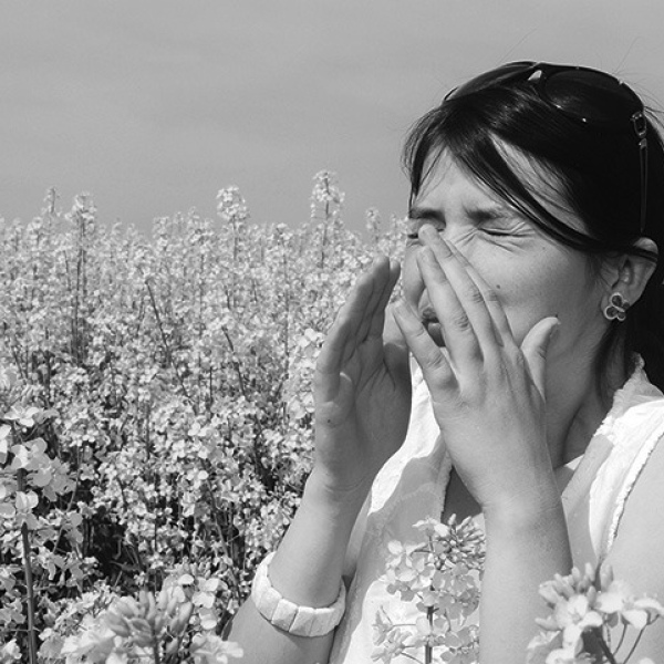 Common allergy triggers