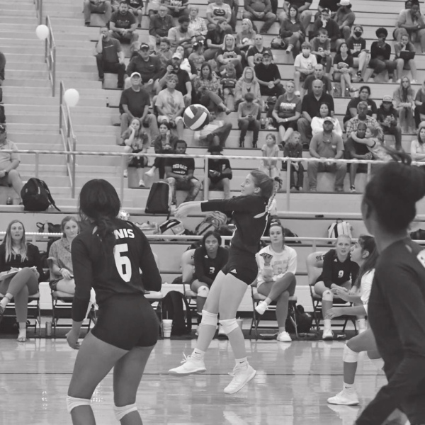 Lady Lions rise from cellar to finish 5th