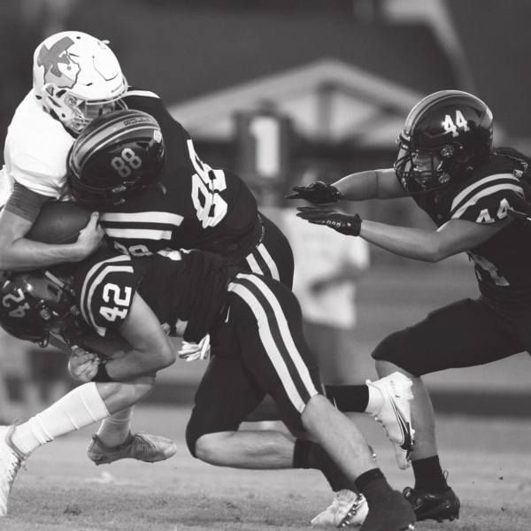 BULLDOGS STUFF STINGERS, 35-7