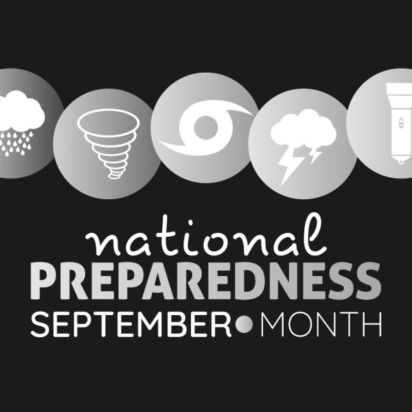 Weather Emergencies: Importance of preparing pet supplies