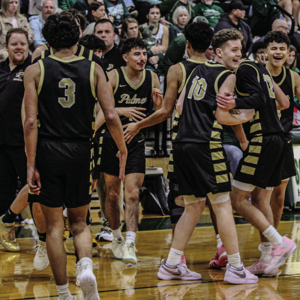 No. 12 Palmer skins Scurry-Rosser, 50-29