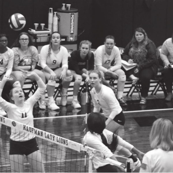Ennis VB serves up young varsity