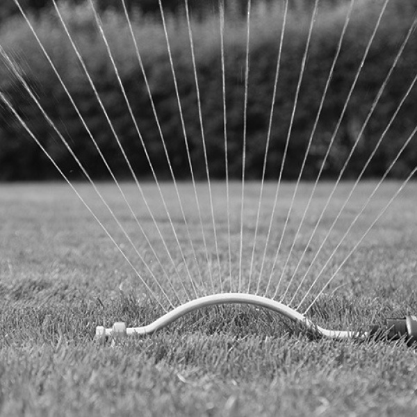 Is your lawn getting enough water?