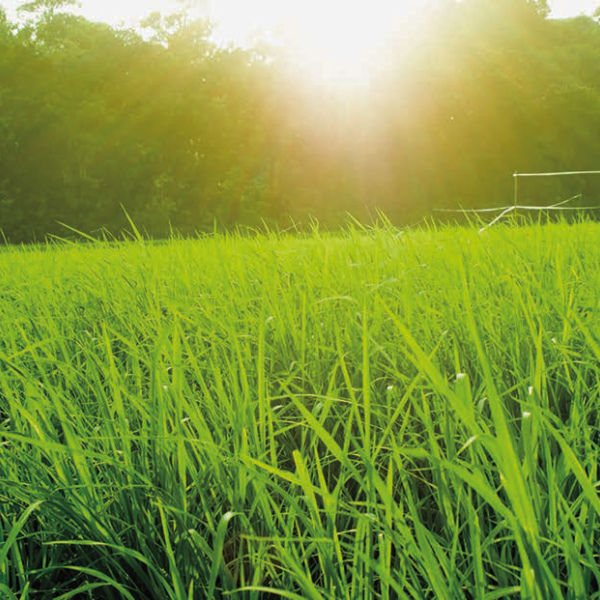 Sunlight exposure: The bright and dark side of the sun