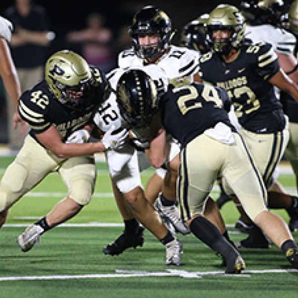 Palmer golden in 36-22 win over No. 5 Rogers